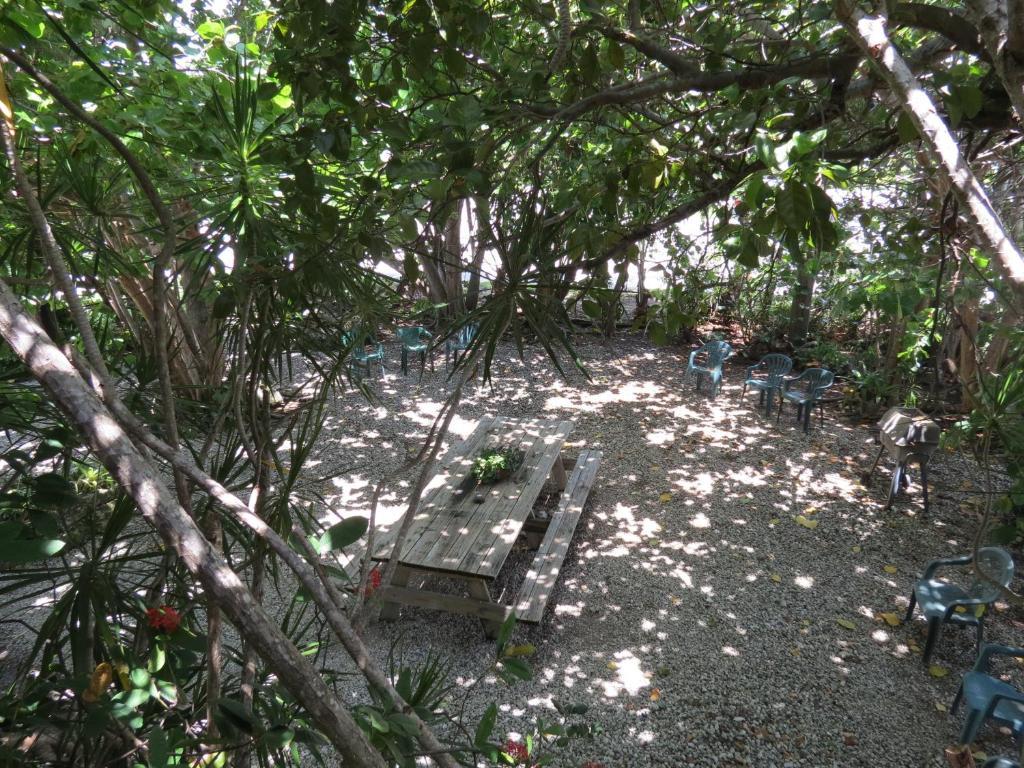 Ed & Ellen'S Lodgings Key Largo Motel Kamer foto