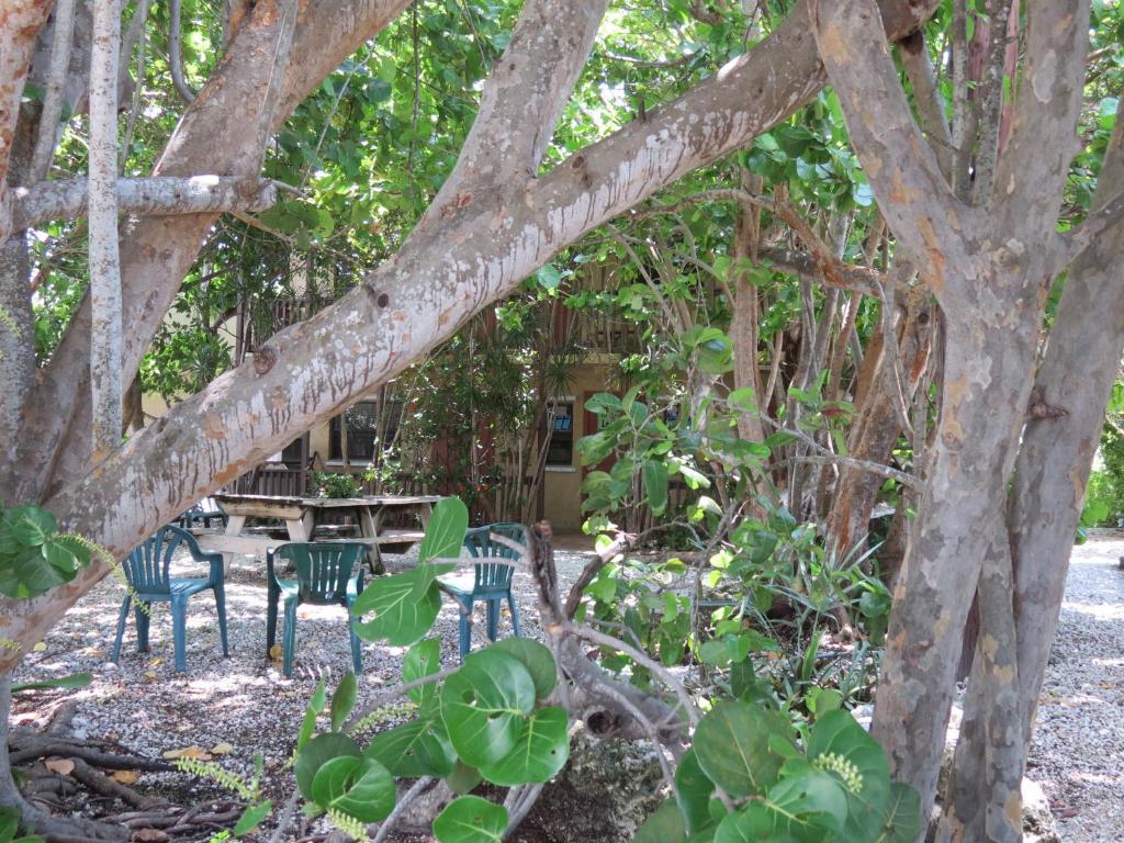 Ed & Ellen'S Lodgings Key Largo Motel Buitenkant foto