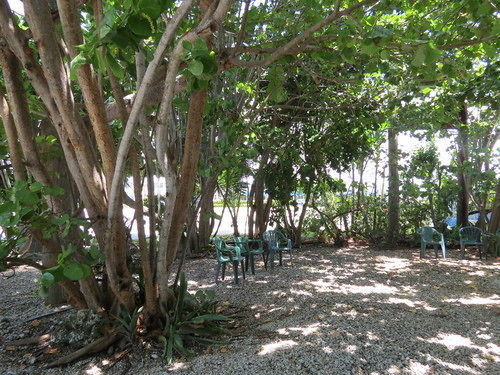 Ed & Ellen'S Lodgings Key Largo Motel Buitenkant foto