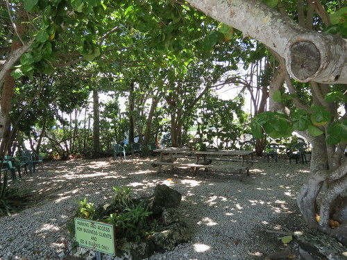 Ed & Ellen'S Lodgings Key Largo Motel Buitenkant foto