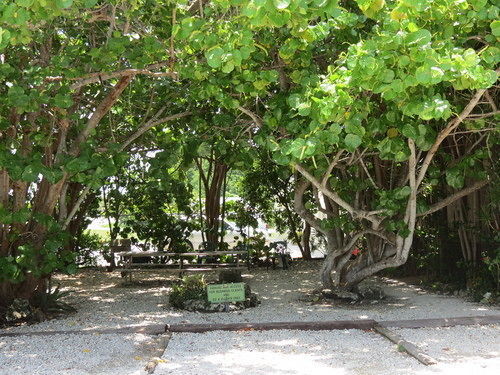 Ed & Ellen'S Lodgings Key Largo Motel Buitenkant foto